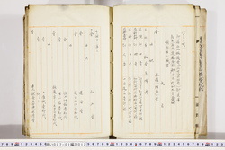 明い027010120040.jpg