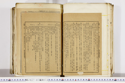 明い027010120050.jpg