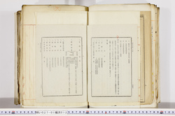 明い027010120059.jpg