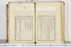 明い027010120068.jpg