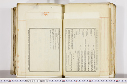 明い027010120072.jpg