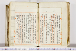明い027010170004.jpg