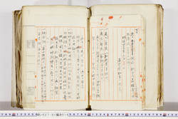 明い027010190002.jpg
