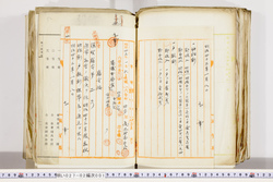 明い027020010002.jpg