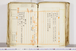 明い027020020002.jpg