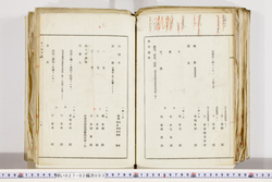 明い027020030007.jpg