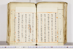 明い027020050005.jpg