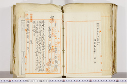 明い027020060002.jpg
