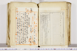 明い027020070005.jpg