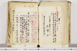 明い027020090008.jpg