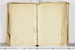 明い027020090011.jpg