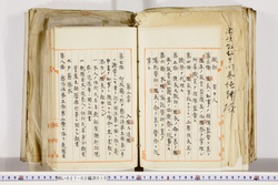 明い027020100004.jpg