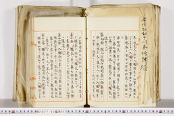 明い027020100005.jpg