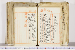明い027020200005.jpg