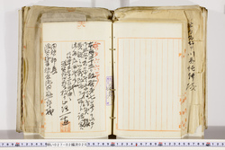 明い027020200006.jpg