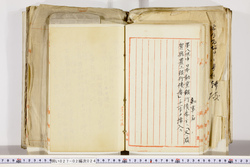 明い027020240002.jpg