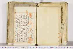 明い027020240003.jpg