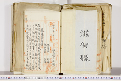 明い027020250011.jpg