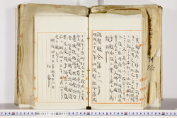明い027020260002.jpg