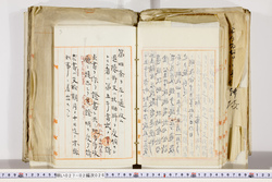 明い027020260003.jpg