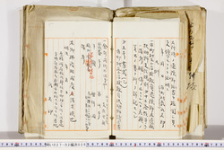 明い027020260005.jpg