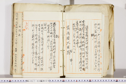 明い027020280009.jpg