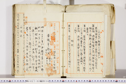 明い027020340004.jpg