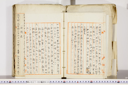 明い027020350003.jpg
