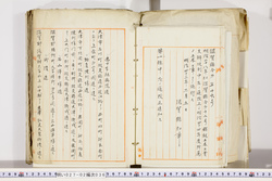 明い027020360002.jpg