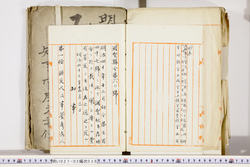 明い027020380003.jpg