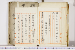 明い027020390002.jpg