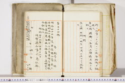 明い027030350002.jpg