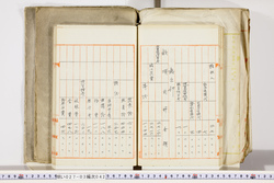 明い027030420002.jpg