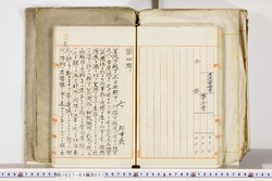 明い027030510002.jpg