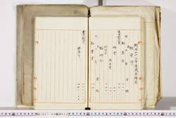 明い027030530002.jpg