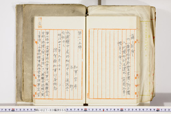 明い027030550002.jpg