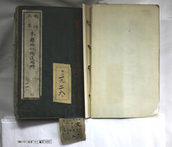 明い031010000002.jpg
