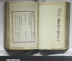 明い059030320002.jpg