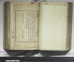 明い059030360002.jpg