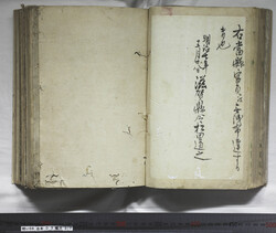 明い059030370002.jpg