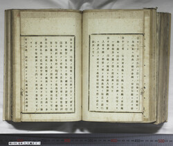 明い059050210008.jpg