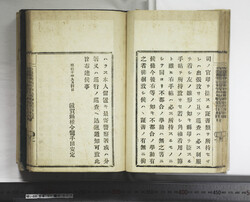 明い088010170002.jpg