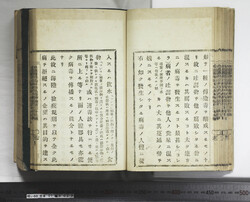 明い088010230007.jpg