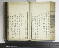 明い088010230009.jpg