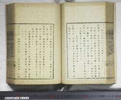 明い097000300006.jpg