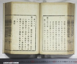 明い097000410003.jpg