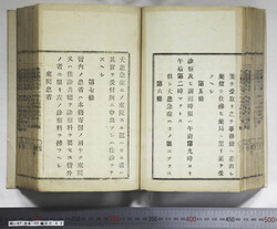 明い097000420005.jpg