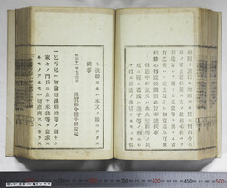 明い097000440002.jpg
