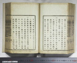 明い097000440003.jpg