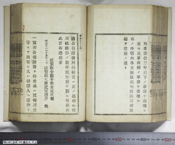 明い097000590004.jpg